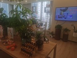 -dōTERRA多特瑞精油生活馆