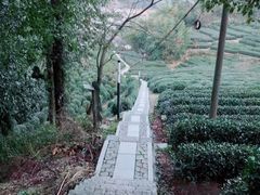 -十里琅珰