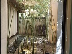 -春晖园度假酒店温泉