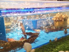 -海底捞火锅(金光华店)