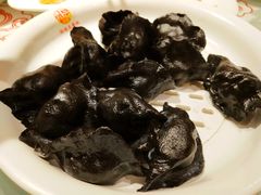 -添福来墨鱼饺子 · 海鲜东北菜(泡崖店)