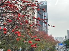 -文华公园(禅城区)