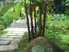 -金山植物公园