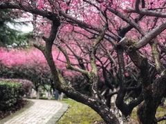 -白塘生态植物园