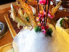 -尚海豆捞(乐虹坊店)