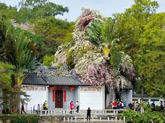 -深圳国际园林花卉博览园