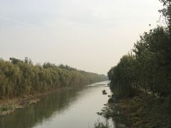 -东郊湿地公园