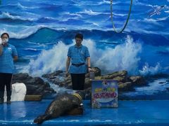 -左海海底世界