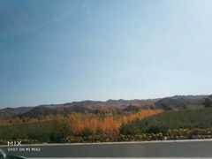 -乌兰布统草原