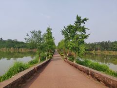 -白鹭湾湿地公园