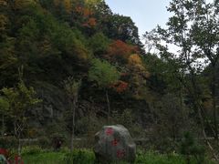 -秦岭风景区