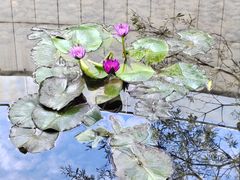 -厦门高崎国际机场-T3航站楼