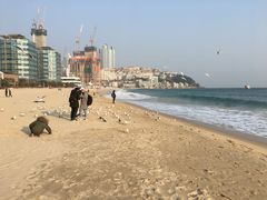 -海云台海滩