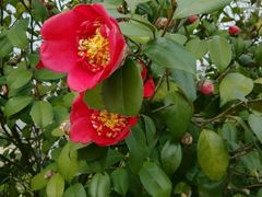 -艾溪湖湿地公园