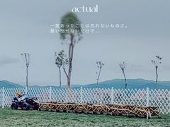 -长虫山生态公园风景林
