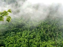 -华蓥山天意谷景区