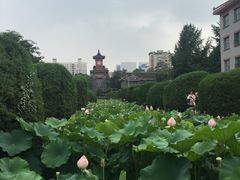 -四川大学(华西校区)