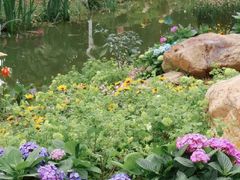 -人民公园(罗湖区)