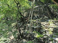 -北京鹫峰国家森林公园