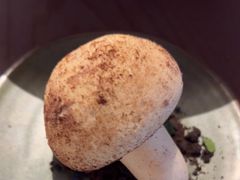 -沅江水·湖南家宴(南村万博长隆商圈店)
