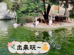 -昆明动物园