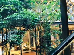 -王权免税店(普吉市区店)