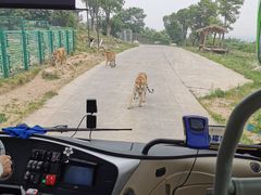 -西安秦岭野生动物园