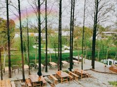 -前小桔亲子创意农场·草莓采摘·露营烧烤