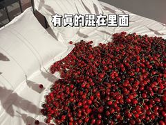 -上海宝龙美术馆