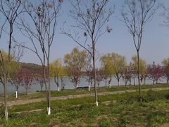 -羊山湖公园