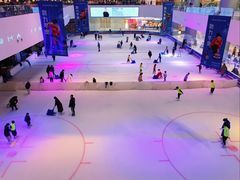 -TheRink大零溜冰场(IFS国金中心店)