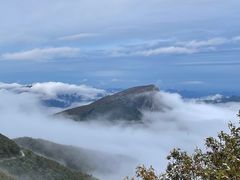 -白草畔自然风景区