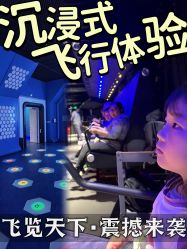 -飞览天下沉浸式飞行体验(北京旗舰店)