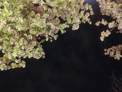 -民园广场