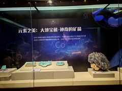 -天津自然博物馆