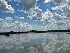 -盐城丹顶鹤湿地生态旅游区