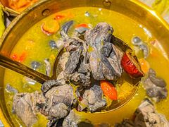 -Darling Queen·Mini·Live·House