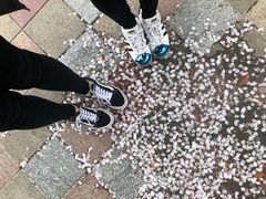 -迈格笙SPA·影院式足道·采耳(金桥店)