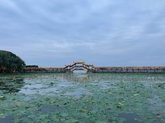 -观桥阁(锦溪店)