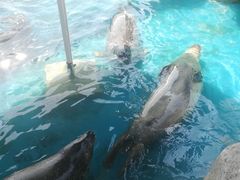 -华夏文旅西安度假区