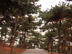 -鬼笑石后山停车场