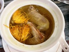 -鸽鸟轩(石岐店)