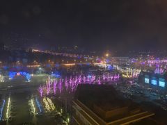 -廊坊固安福朋喜来登酒店