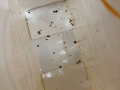 -五道口枣糕王(成府路店)