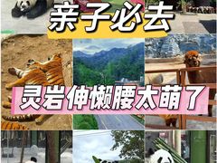 -栾川竹海野生动物园