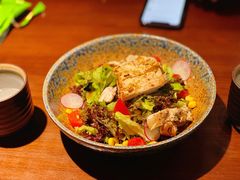 芥末烤鸡沙拉-山杏yama-katsu·吉列炸物
