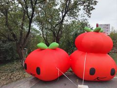 -西溪国家湿地公园