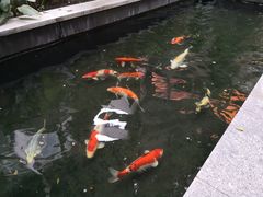 -曼谷铂尔曼皇权酒店