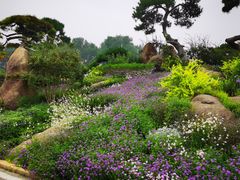 -罗红摄影艺术馆