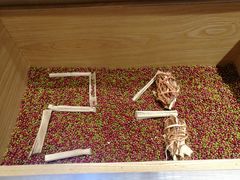 -炖物24章·顺时轻养茶(杭州保利时光里店)